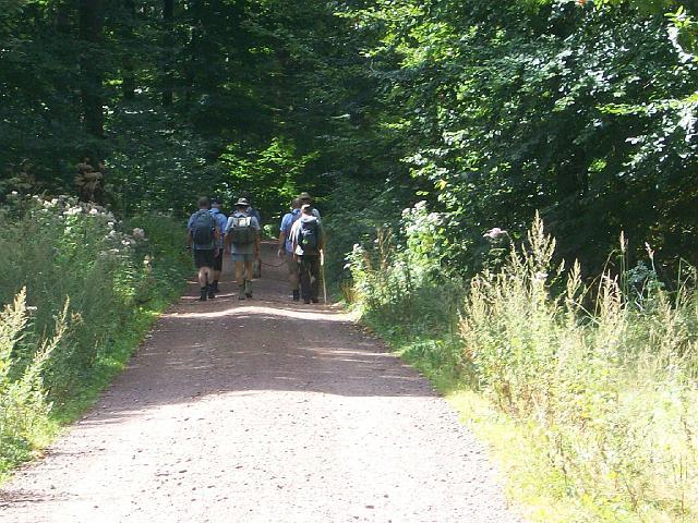 07.JPG