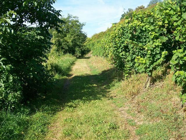29.JPG