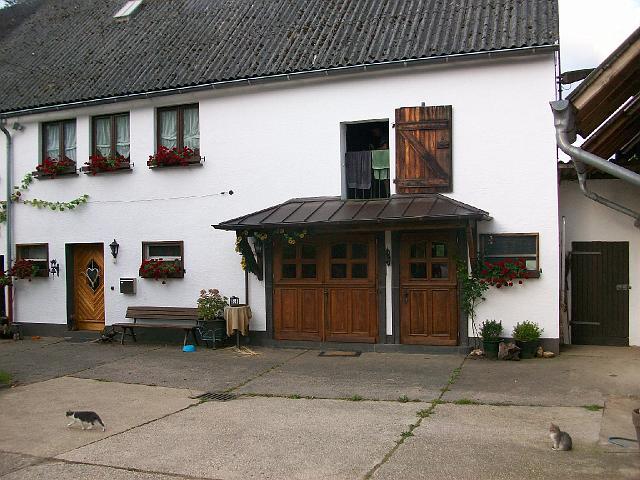 54.JPG