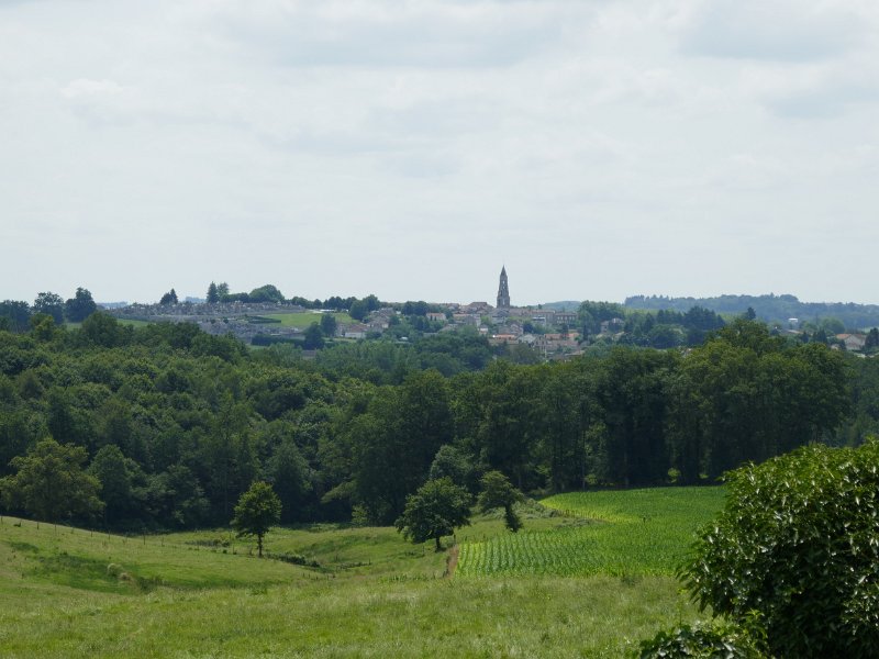 117.JPG