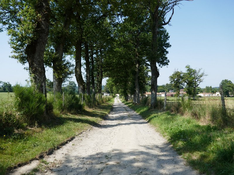 161.JPG