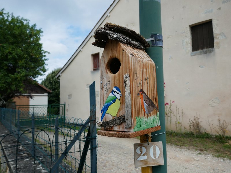 274.JPG
