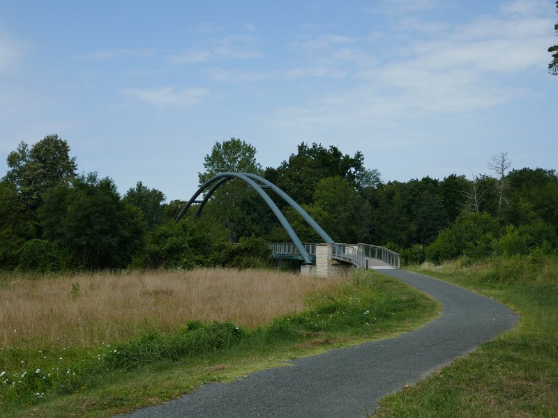 321.JPG