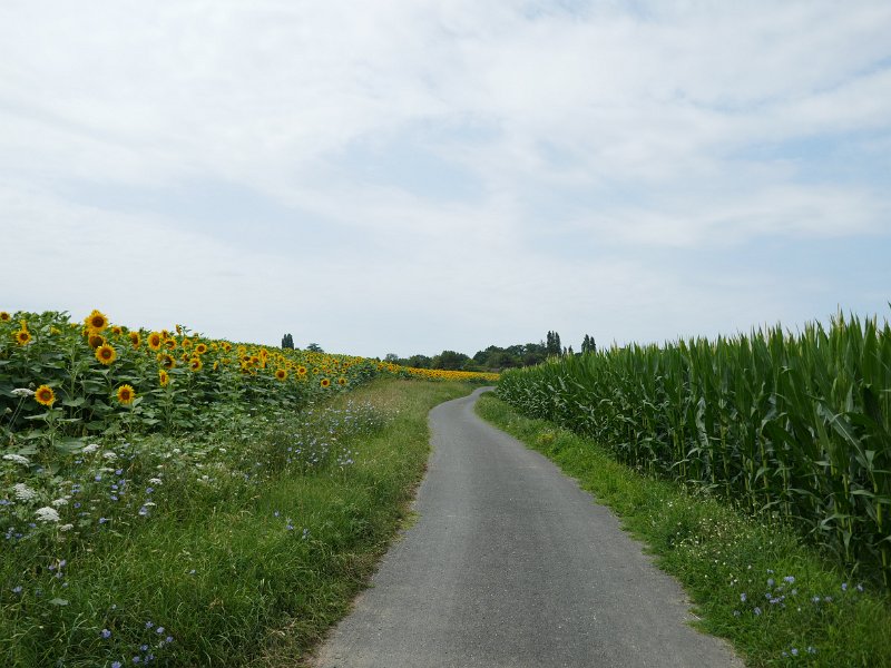 323.JPG