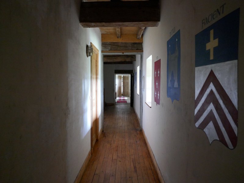 341.JPG