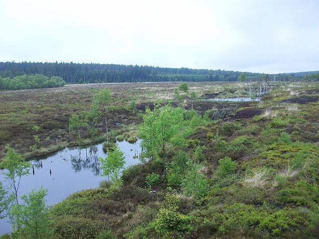 62.JPG