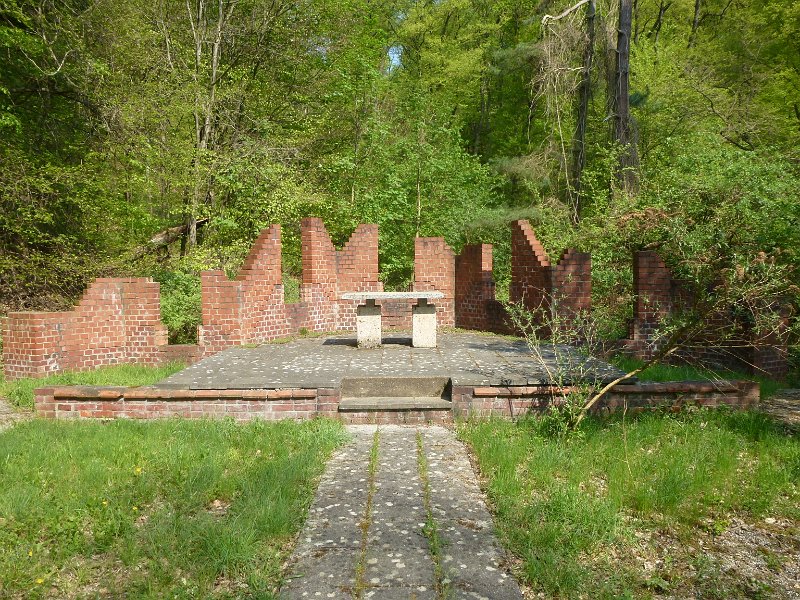169.JPG