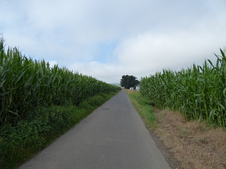 129.JPG