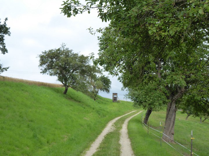 159.JPG