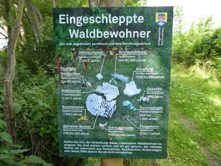 172.JPG
