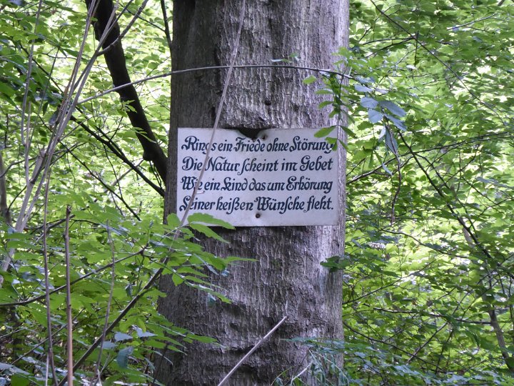 183.JPG
