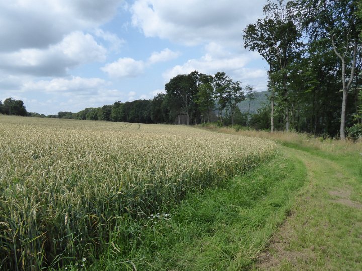 184.JPG