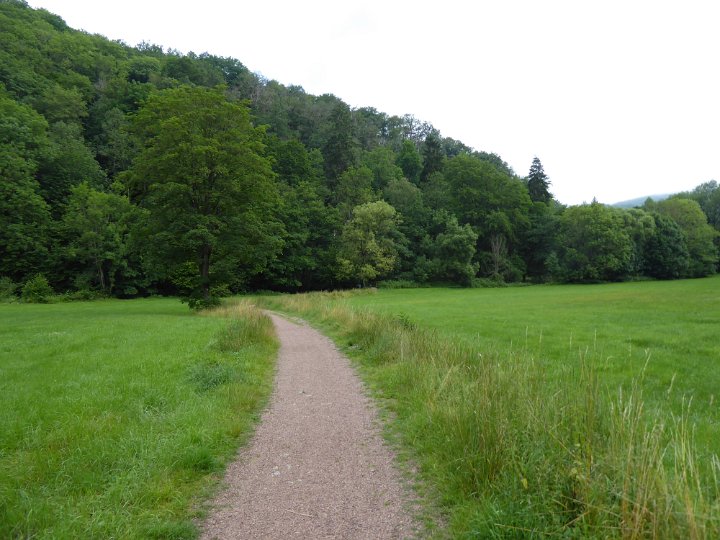 205.JPG