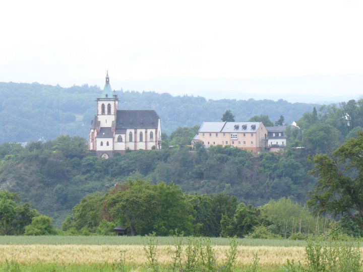 274.JPG