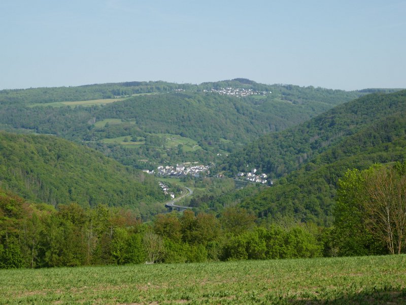 6-012.JPG