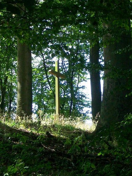06.JPG