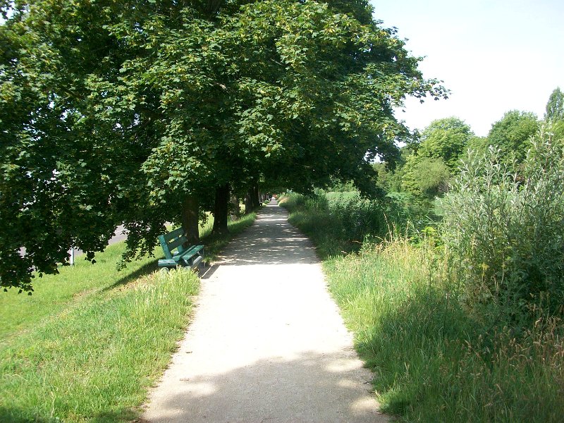 116.JPG