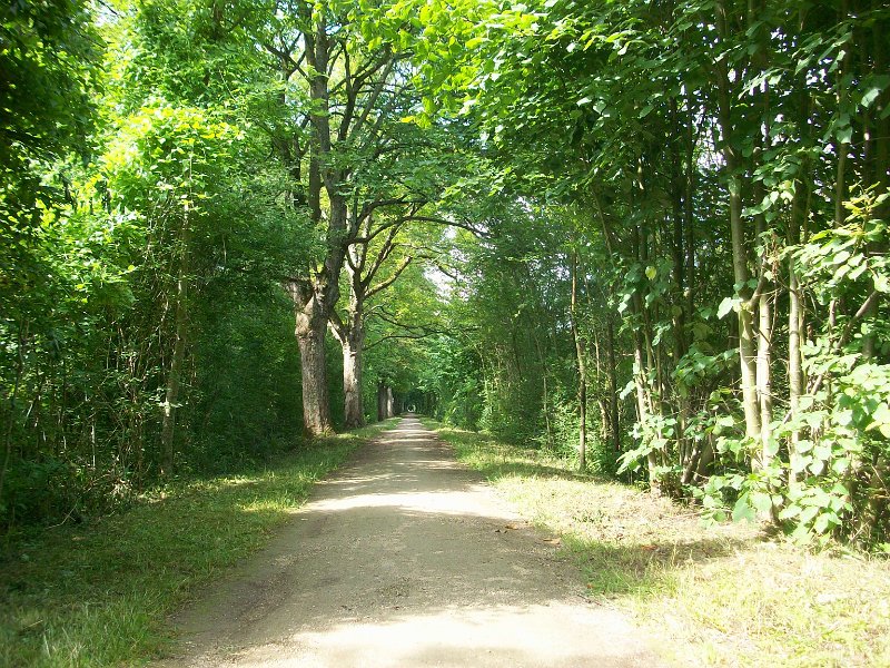 119.JPG