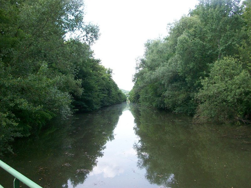 120.JPG
