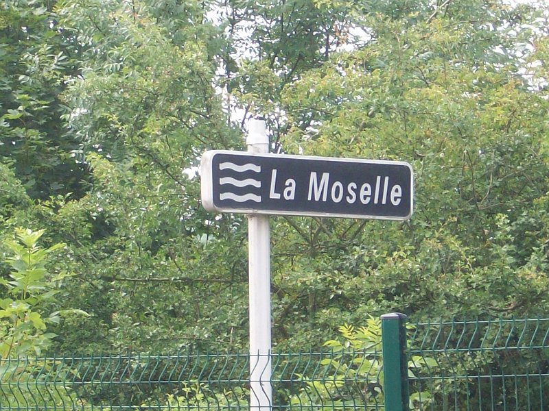 123.JPG