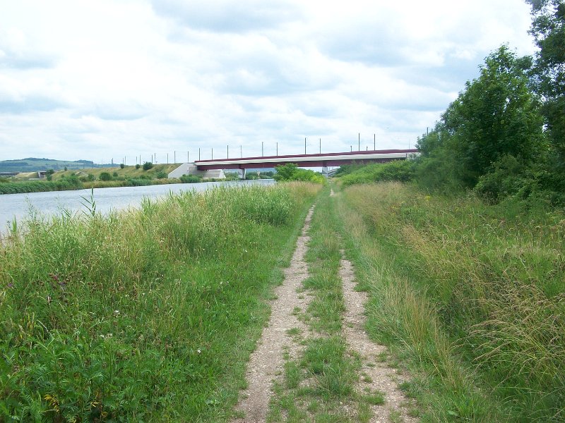 137.JPG