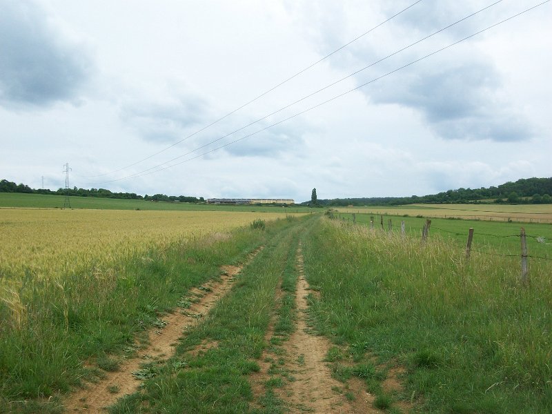 139.JPG
