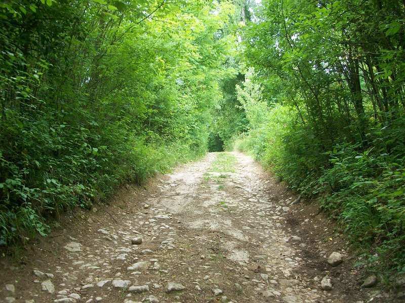 140.JPG