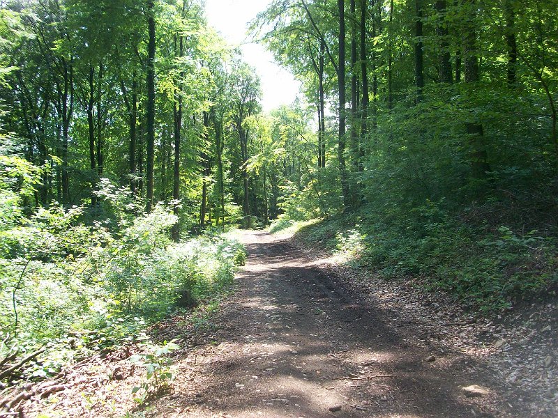 154.JPG
