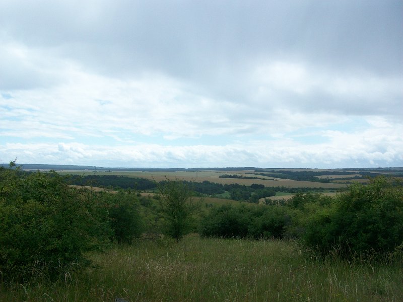 158.JPG
