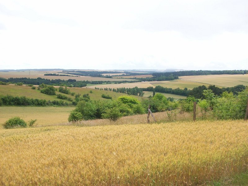 159.JPG