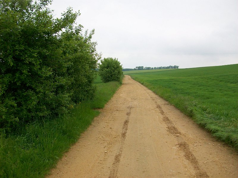 184.jpg