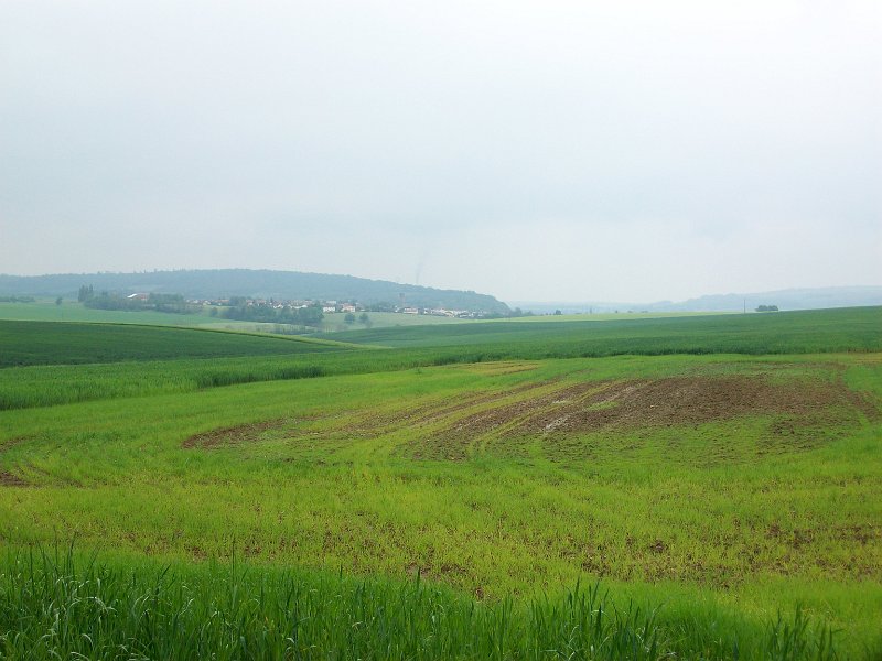 185.jpg