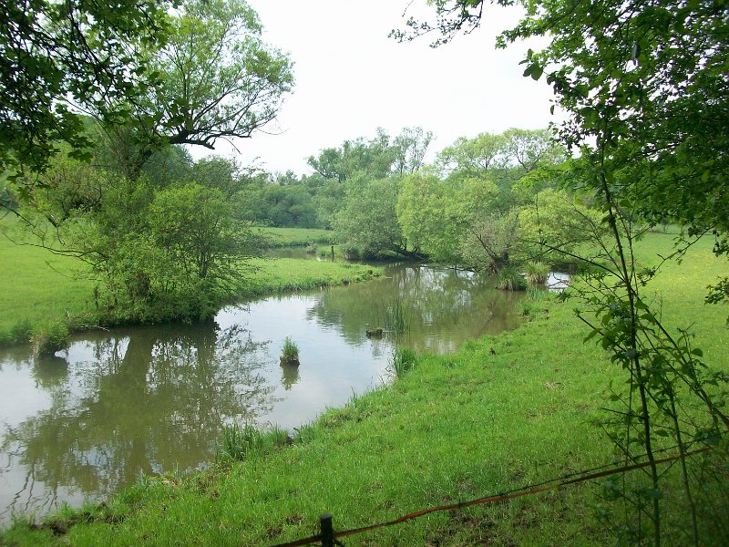 191.jpg