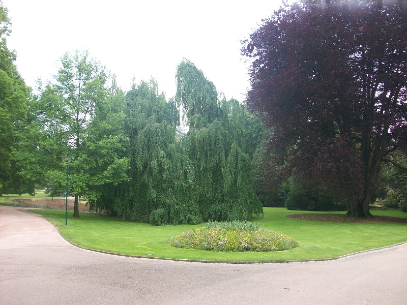 208.jpg