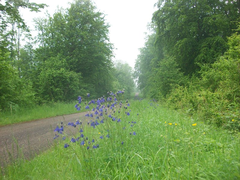 220.jpg