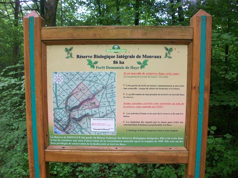 221.jpg