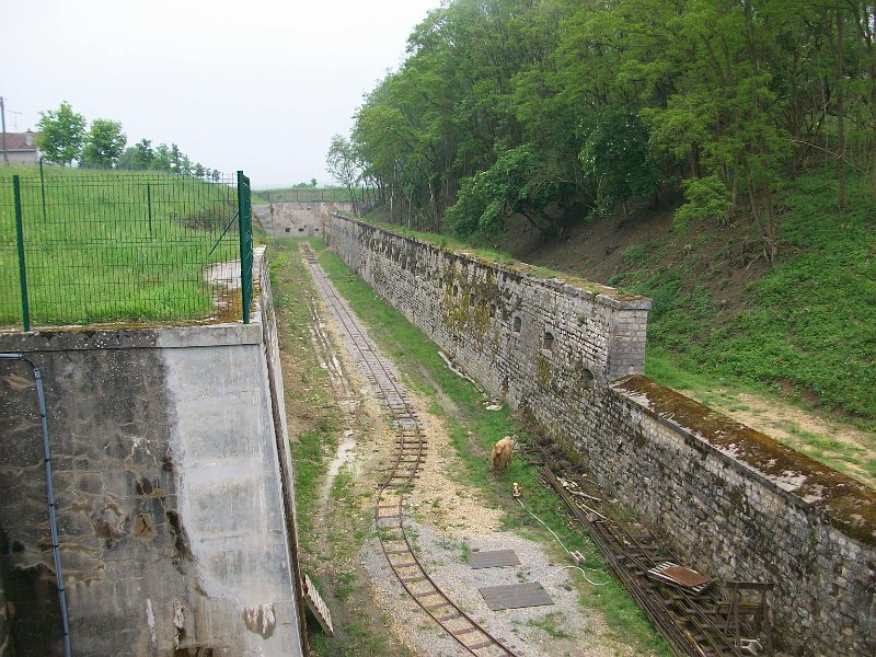225.jpg