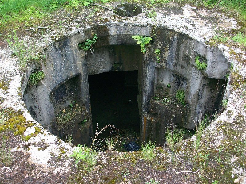 228.jpg