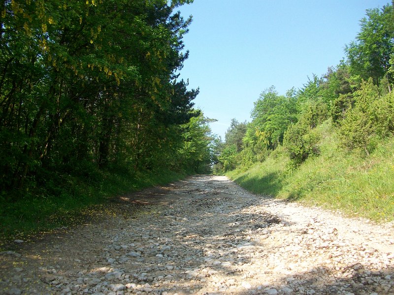 249.jpg