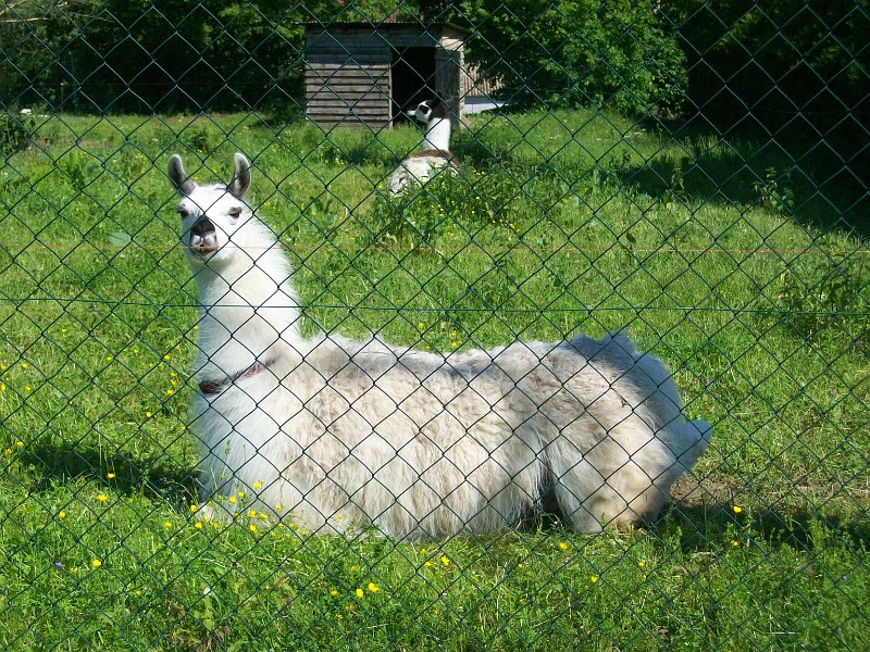 273.jpg