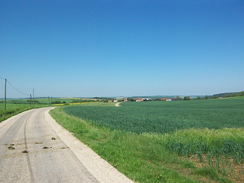 274.jpg