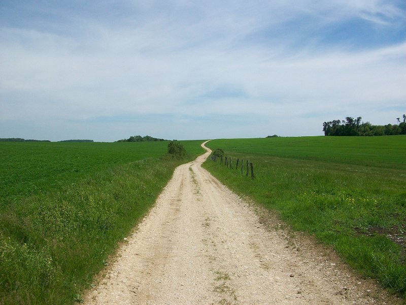 275.jpg