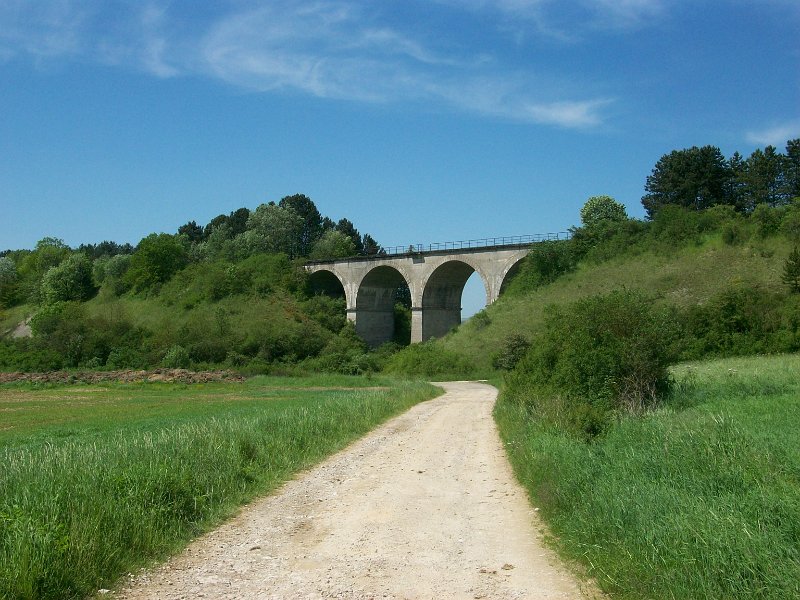 276.jpg