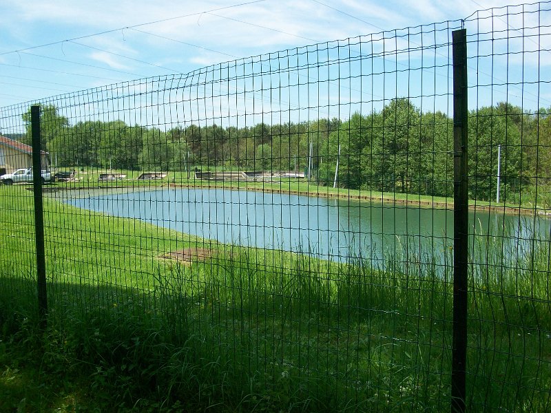 285.jpg