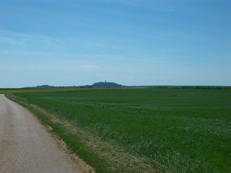 335.jpg