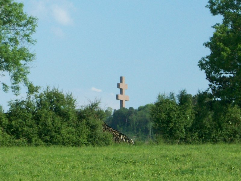 347.jpg