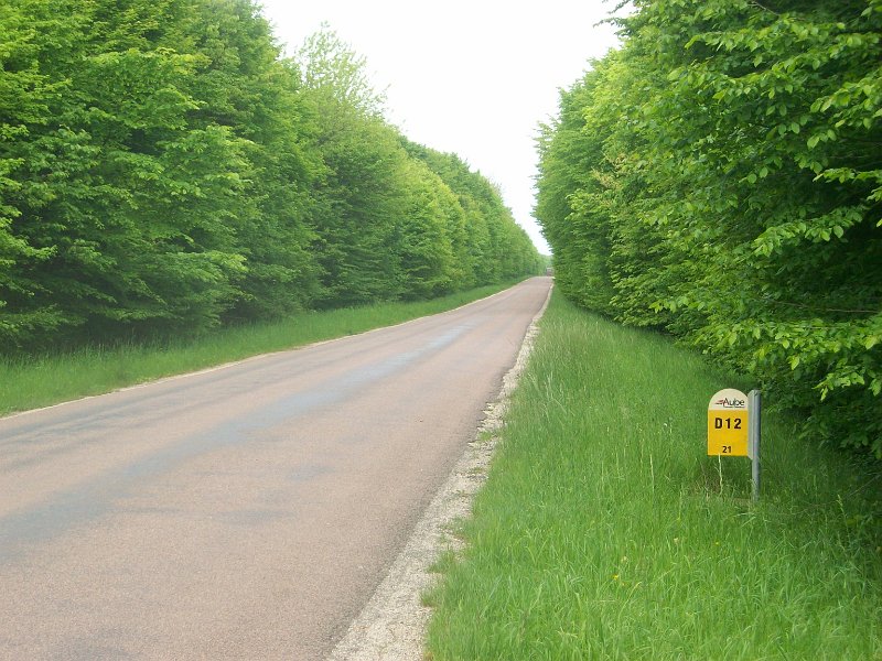 377.JPG