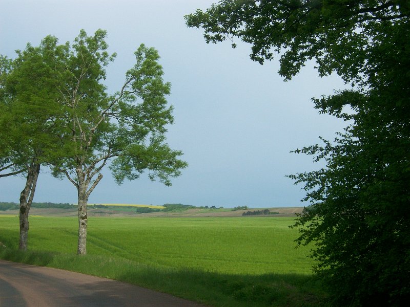 379.JPG