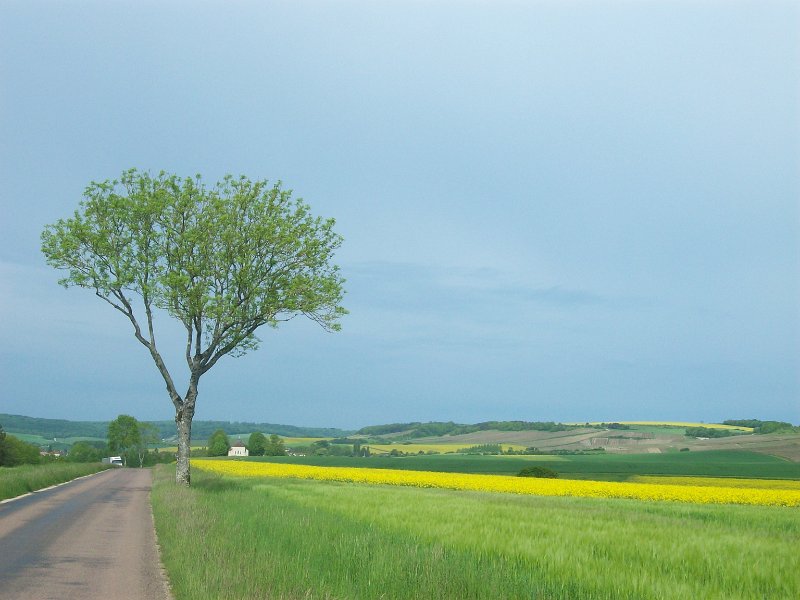 380.JPG