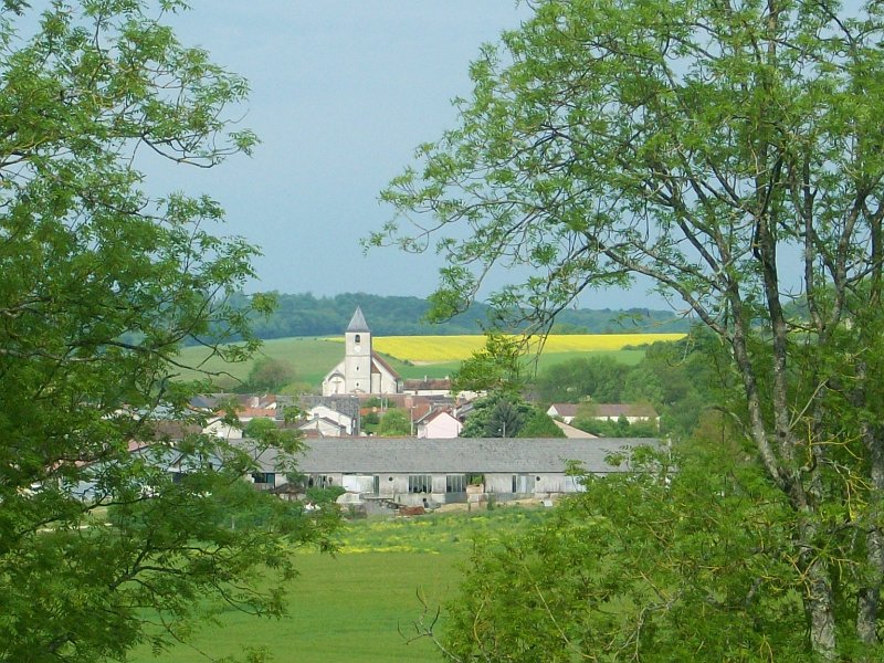 385.JPG